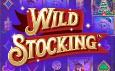 Игровой автомат Wild Stocking